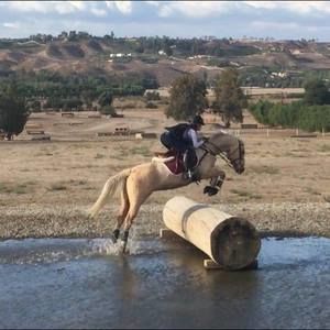 Meet your Posher, Nathan-laurie